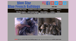 Desktop Screenshot of bluefrenchbulldog.org