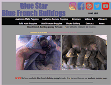 Tablet Screenshot of bluefrenchbulldog.org